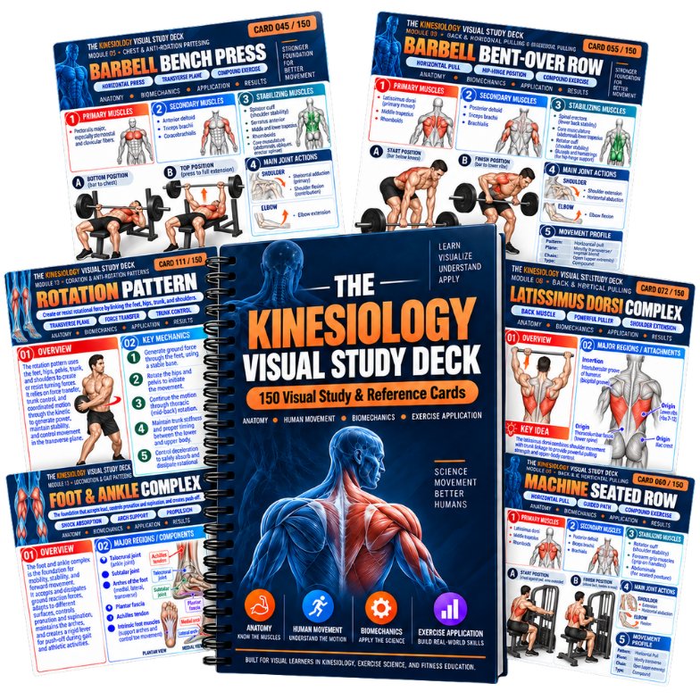 Kinesiology Visual Study Deck mockup